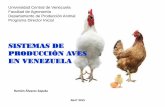 SISTEMAS DE PRODUCCIÓN AVES EN VENEZUELA · Slide 1 Author: Ramon Alvarez Created Date: 4/4/2015 4:26:08 PM ...