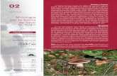02 - guara.orgguara.org/wp-content/uploads/2017/09/micologa-por-la-sierra-de... · El parque natural de la Sierra de Guara está sujeto a una normativa específica sobre la recolección