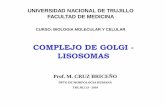 COMPLEJO DE GOLGI - LISOSOMASs4507431beaf003cb.jimcontent.com/download/version...COMPLEJO DE GOLGI - LISOSOMAS ESTRUCTURA LOCALIZACION TAMAÑO Un dictiosoma- células secretoras Mucosa