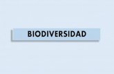 Presentación de PowerPoint - iessierrasur.es · Tundra, taiga, bosque templado, estepa, bosque mediterráneo, desierto, sabana y bosque tropical. ... BIOMA Es un importante ecosistema