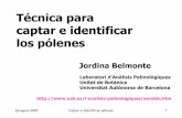 Técnica para captar e identificar los pólenes · . Zaragoza 2003 Captar e identificar pólenes 2 Métodos de captación polínica