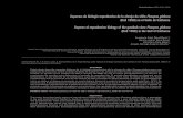 Aspectos de biología reproductiva de la almeja de sifón ...scielo.unam.mx/pdf/hbio/v18n2/v18n2a1.pdf · Aspectos de biología reproductiva de la almeja de sifón Panopea globosa