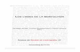 Los lindes de la morfologíafilescat.uab.cat/.../2016/06/Los-lindes-morfología.pdf · 2017-05-17 · SANTIAGO ALCOBA, CRISTINA BUENAFUENTES Y GLORIA CLAVERÍA! 10 1. LOS LINDES DE