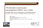 “Peritonitis esclerosante encapsulante (EPS): una …€œPeritonitis esclerosante encapsulante (EPS): una visión desde los macrófagos peritoneales” Rafael Selgas HOSPITAL UNIVERSITARIO