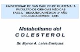 Metabolismo del C O L E S T E R O L - Bioquímica ... · ∆7-24 -colestadienol + NADP O2 Entre las reacciones finales no incluidas ... NADP O2 Desmosterol (24-Dehidrocolesterol)