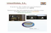Equipos de Cálculo LinuxVixion basados en GPU. Presentación LinuxVixion, S.L, compañía española fundada en el año 2002, es una empresa especializada en el suministro de Equipos