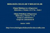 BIOLOGÍA CELULAR Y MOLECULARecaths1.s3.amazonaws.com/biologia2011/1660783011.1-biologia celular.pdf · varios laboratorios en el mundo. •La clonación reproductiva no arroja resultados