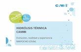 HIDRÓLISIS TÉRMICA CAMBI - Degrémont Iberia - Inicio termica - aeas 13-thp.pdf · Hidrolisis Termica - AEAS'13-THP [Modo de compatibilidad] Author elorrieta-n Created Date 6/14/2013
