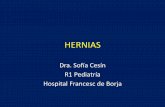 HERNIAS - gandia.san.gva.esgandia.san.gva.es/documents/3761705/6344708/Hernias.pdf · HERNIA UMBILICAL • Lesión más frecuente de pared abdominal en lactantes • 10% RN sanos
