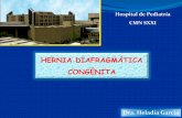 HERNIA DIAFRAGMÁTICA CONGÉNITA - …neonatologosyucatan.org.mx/admin/uploads/filemanager/hernia... · HERNIA DIAFRAGMÁTICA CONGÉNITA Hospital de Pediatría CMN SXXI Dra. Heladia