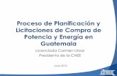 Plan de Expansión del sistema de generación y … del Sector Eléctrico de Guatemala Los indicadores del sector eléctrico nos permiten tener un panorama de la situación actual