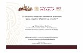 “El desarrollo portuario nacional e incentivos para ... Development... · Seminario Desafíos Portuarios en México Hotel St. Regis ... Consolida las disponibilidades presentes