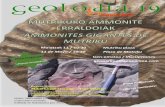 Presentación de PowerPoint · paleontología irakaslea eta ikerlaria. ... -Ammonite-familia berekoak: eboluzioa, ... •Zergatik ezin da fosil bat mendian hartu?