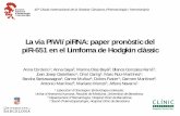 La via PIWI/piRNA: paper pronòstic del piR-651 en el ... · piR-651 en el Limfoma de Hodgkin clàssic ... Secondary pathway. Sense piRNA. Generates new piwiRNA sequences. Maintains
