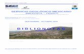 BIBLIOTECA - CEDOCIT - gob.mx · Biblionotas Septiembre - Octubre 2009 1 Centro de Documentación en Ciencias de la Tierra SERVICIO GEOLÓGICO MEXICANO BIBLIOTECA - CEDOCIT Puente