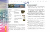 Cochayuyo y huiros - SUBPESCA. Subsecretaría de Pesca y ... · El desembarque AMERB de algas pardas se obtiene a partir del año 2003 (huiro negro y cochayuyo). El aporte de las