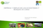 EMPRESA Y EMPLEO EN LOS ECOSISTEMAS Y BOSQUES … · empresa y empleo en los ecosistemas y bosques de cÁdiz. alcalÁ de los gazules. 3 de junio