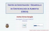 (CIDCA) · 2018-12-10 · - Calidad y composición del producto - Comportamiento postcosecha - Obtención de harina, ... (cultivo andino en vías de extinción) ... Radicha Topinambur