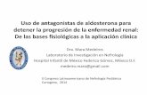 Uso de antagonistas de aldosterona para detener la ... · Estudios de antagonistas de aldosterona en ERC Tipo de paciente n Intervención Δ proteinuria Δ SBP/DBP (mm/Hg) Ref DM