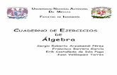 CUADERNO DE E DE Álgebra - algebrafi.emiweb.esalgebrafi.emiweb.es/medias/files/cuaderno-ejercicios-algebra.pdf · CAPÍTULO 1 NÚMEROS REALES A través de la historia, pocos conceptos