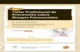 Taller Profesional de Prevenci³n sobre Riesgos .Lahera, Duro, Peir³, Salanova, Gracia (2009) sobre