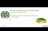Policía Nacional de Colombia - edubasc.orgedubasc.org/cursos/Control_Antidrogas_a_Carga_con_Destinos_Criticos/... · Policía Nacional de Colombia Dirección de Antinarcóticos DIRAN