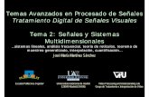 Tratamiento Digital de Señales Visualesarantxa.ii.uam.es/~jms/taps/teoria/TAPS_Tema2_2010(color).pdf · Temas Avanzados en Procesado de Señales Tratamiento Digital de Señales Visuales