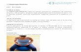  · r Centro de Rehabilitación Miguel Dominguez 1.5 Fisioterapia Obstétrica I Al Prevención EXPLICACIÓN: La Fisioterapia Obstétrica cubre los aspectos preventivos, terapéuticos