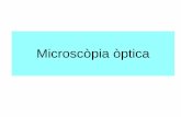 Microscòpia òptica - cosmolinux.no-ip.orgcosmolinux.no-ip.org/recursos_aula/BIO1erBAT/Citologia/Unitat_6_microscopia.pdf · L’objecte es troba situat més enllà de la distància