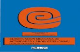 CLASIFICACION MEXICANA DE ACTIVIDADES Y …internet.contenidos.inegi.org.mx/contenidos/productos/prod_serv/contenidos/espanol/... · censos economicos 1994 subsector 97 servicios