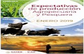 FLIPBOOK ENERO 01 - s3.amazonaws.coms3.amazonaws.com/inforural.com.mx/wp-content/uploads/2019/01/31173300/... · 1,183,868-0.2% Cultivo Volumen 2017 (toneladas) Expectativa 2018p
