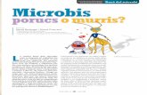 Calaix de sastre de la Societat Catalana de Biologia ... · Omnis cellula 16 Març 2008 L a (mala) fama dels microbis com a causants de malalties ha fet que solament sentir el seu