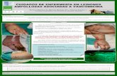 CUIDADOS DE ENFERMERÍA EN ... - congresoenfermeria.escongresoenfermeria.es/libros/2013/salas/sala4/p_91.pdf · CUIDADOS DE ENFERMERÍA EN LESIONES AMPOLLOSAS ASOCIADAS A VANCOMICINA