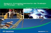 Seguro Complementario de Trabajo de Riesgo - SCTR · Tema 04 - Identificacion de peligros y evaluacion de riesgos –IPER Tema 05 - Elaboracion del Programa Anual de SST Tema 06 -