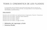 TEMA 3: CINEMATICA DE LOS FLUIDOS - …ingenieria.uncuyo.edu.ar/catedras/mecanica-de-los-fluidos-tema-3-clase2.pdf · Mecánica de los fluidos con aplicaciones en ingeniería. Franzini-
