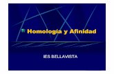 Homología y afinidad - blogsaverroes.juntadeandalucia.esa-y... · Homología plana Una homología plana es aquella en la que los elementos homólogos son coplanarios. Dos figuras