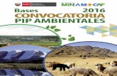 Bases 2016 CONVOCATORIA PIP AMBIENTALES - minam.gob.pe · de PIP Ambientales, en especial la descripción de tipologías, las características y criterios de selección, los montos