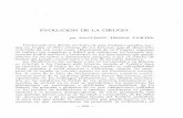 EVOLUCION DE LA CIRUGIA - bdigital.unal.edu.cobdigital.unal.edu.co/17750/1/13424-37844-1-PB.pdf · La Medicina es tan antigua como la humanidad y su historia se remonta a los tiempos