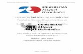 Universidad Miguel Hernández - dspace.umh.esdspace.umh.es/bitstream/11000/3882/1/TFG López Ripoll, Natalia.pdf · • La yihad jurídica, que se entiende como el esfuerzo para interpretar