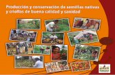 oducción y conservación de semillas nativas y criollas de ... · la disponibilidad y la calidad de los alimentos para humanos y animales, y contribuyen a la conservación y protección