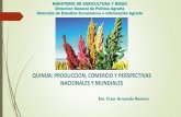 QUINUA: PRODUCCION, COMERCIO Y ... - redarperu.comredarperu.com/wp-content/uploads/2019/06/QUINUA-2019.pdf · La sierra es la principal productora de quinua, mayormente orgánica,