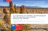 La quínoa en Chile, el despegue de un grano ancestral ... · OFICINA DE ESTUDIOS Y POLITICAS AGRARIAS Enero 2018 3 Quínoa, quinua, kinwa, o dawe. Son diversos los nombres comunes