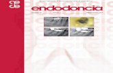 Revist a Oficial de la Asociación Española de Endodonciaivan_drupal/odonto/sites/default/files/inline... · Revist a Oficial de la Asociación Española de Endodoncia Volumen 32