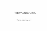 CROMATOGRAFIA DE GASES - depa.fquim.unam.mxdepa.fquim.unam.mx/amyd/archivero/1.1introduccionCromatografia_34625.pdf · cromatografia de . lÍquidos (cl) cromatografia de . fluidos