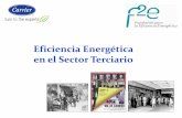 Eficiencia Energética en el Sector Terciario · Entorno Normativo - Edificación Eficiencia Energética & ESEs. • Directiva 31/2010 D. Modificada 91/2002 • Directiva ESEs 32/2006