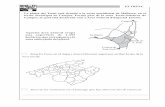 La platja del Trenc està situada a la costa meridional de ...campsdaprenentatgeib.org/web/espalmer/wp-content/uploads/sites/3/2015/... · El conill (Oryctolagus cuniculus) és un