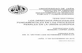 LOS DERECHOS PROCESALES FUNDAMENTALES EN LOS …ruja.ujaen.es/bitstream/10953/725/1/9788416819058.pdf · universidad de jaÉn facultad de ciencias sociales y jurÍdicas departamento