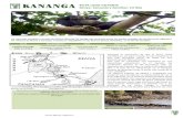 informativas/w…  · Web viewDesde Arusha, sobrevolaremos el Kilimanjaro y podremos observar los arrecifes de coral del canal de Zanzíbar. Nos desplazaremos a las playas tropicales