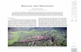 Boscos del Maresme - CORE · als vessants marítims orientals del Montnegre obre la via d’entrada a espècies calcícoles; els . Boscos del Maresme. Joan Manel Riera Escola de Natura