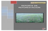 REPORTE DE REFORESTACION - comexhidro.comcomexhidro.com/documentos/REPORTE_DE_REFORESTACION.pdf · 1 RESUMEN EJECUTIVO ELECTRICIDAD DEL GOLFO está preocupado por el medio ambiente,